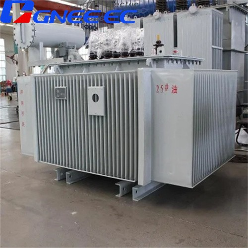 S11 transformer (18)