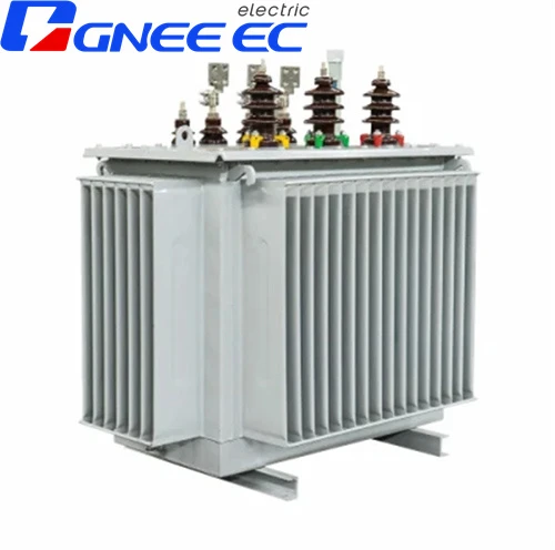 China Oil Immersed Transformer 1200kVA 35kv 11kv S18 IEC60076 Certified